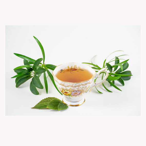 Tea Press - Chantilly - Kai Organic Tea